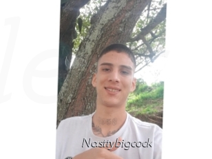 Nasttybigcock