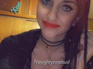 Naughtyrosebud