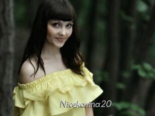 Nicekarina20