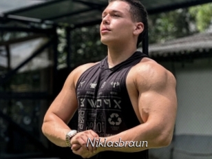 Niklasbraun