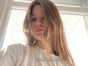 Nikollespark