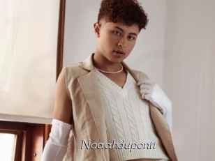 noaahdupontt Le Scandale