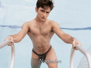 Noaheden
