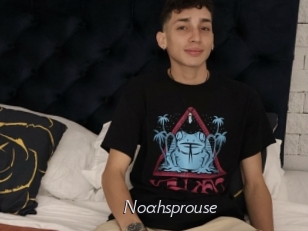 Noahsprouse