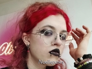 Noellepaws