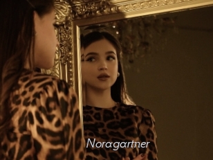 Noragartner