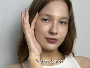 Noreenbinner