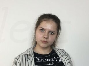 Normaaldrid