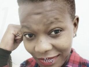 Nozy