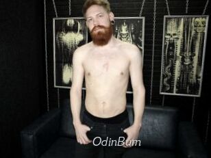 OdinBurn
