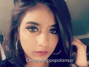 OrangeHippopotamus