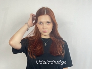 Odeliadrudge