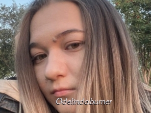 Odelindaburner