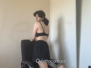 Odettacaecus