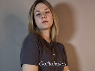 Odiliahakes