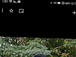 ottobreymann19 Le Scandale