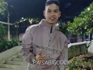 PAISABIGCOCK