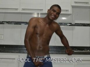 POOL_THE_MOSTER_COCK