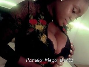 Pamela_Mega_Boobs