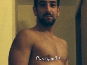 Pamigue84