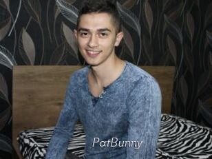 PatBunny