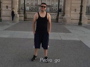 Pedro_go