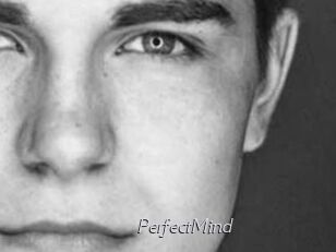 PerfectMind