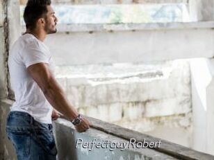 PerfectguyRobert
