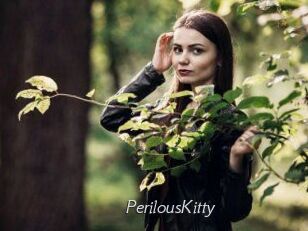 Perilous_Kitty