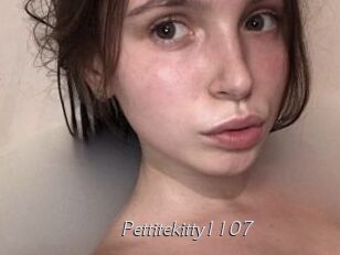 Pettitekitty1107