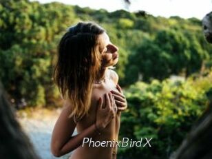 PhoenixBirdX Le Scandale