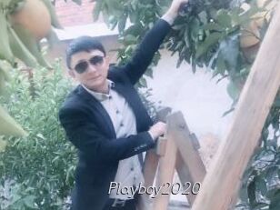 Playboy2020