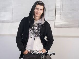 PlayfulNigel