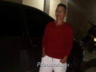 Polexcuteboyx