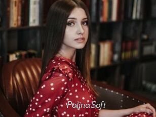 PolinaSoft