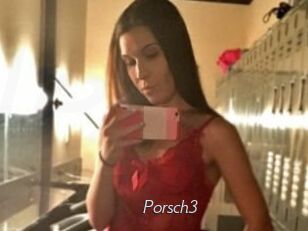 Porsch3