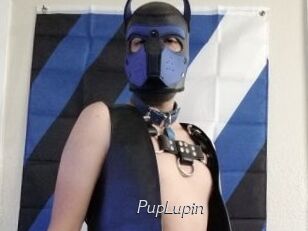 PupLupin Le Scandale