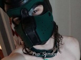 Pup_Samson
