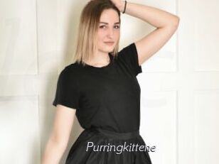 Purringkittene