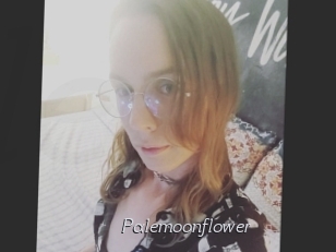 Palemoonflower