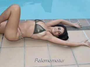 Palomamatur