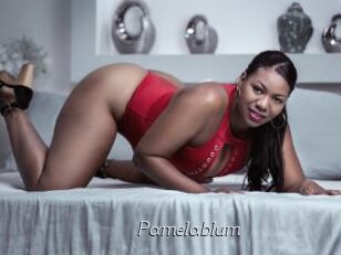 Pamelablum