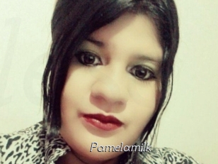 Pamelasuite