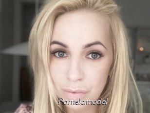 Pamelamodel