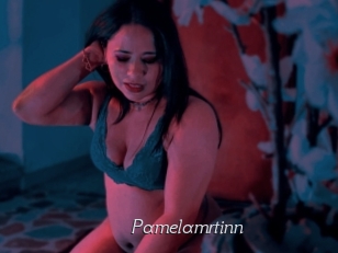 Pamelamrtinn