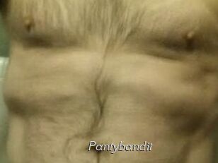 Pantybandit