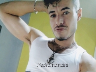 Pedromancini