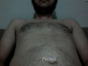 Pedwil
