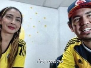 Pegasso_love