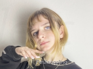 Petulaappling